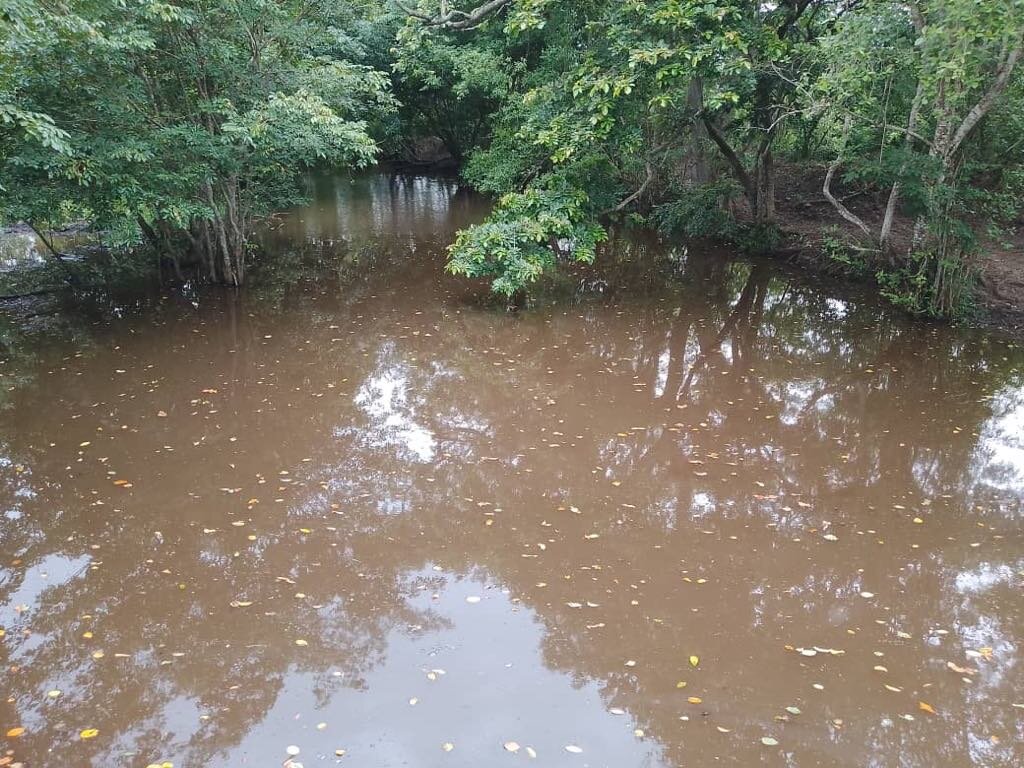 Dawanu Clena Water