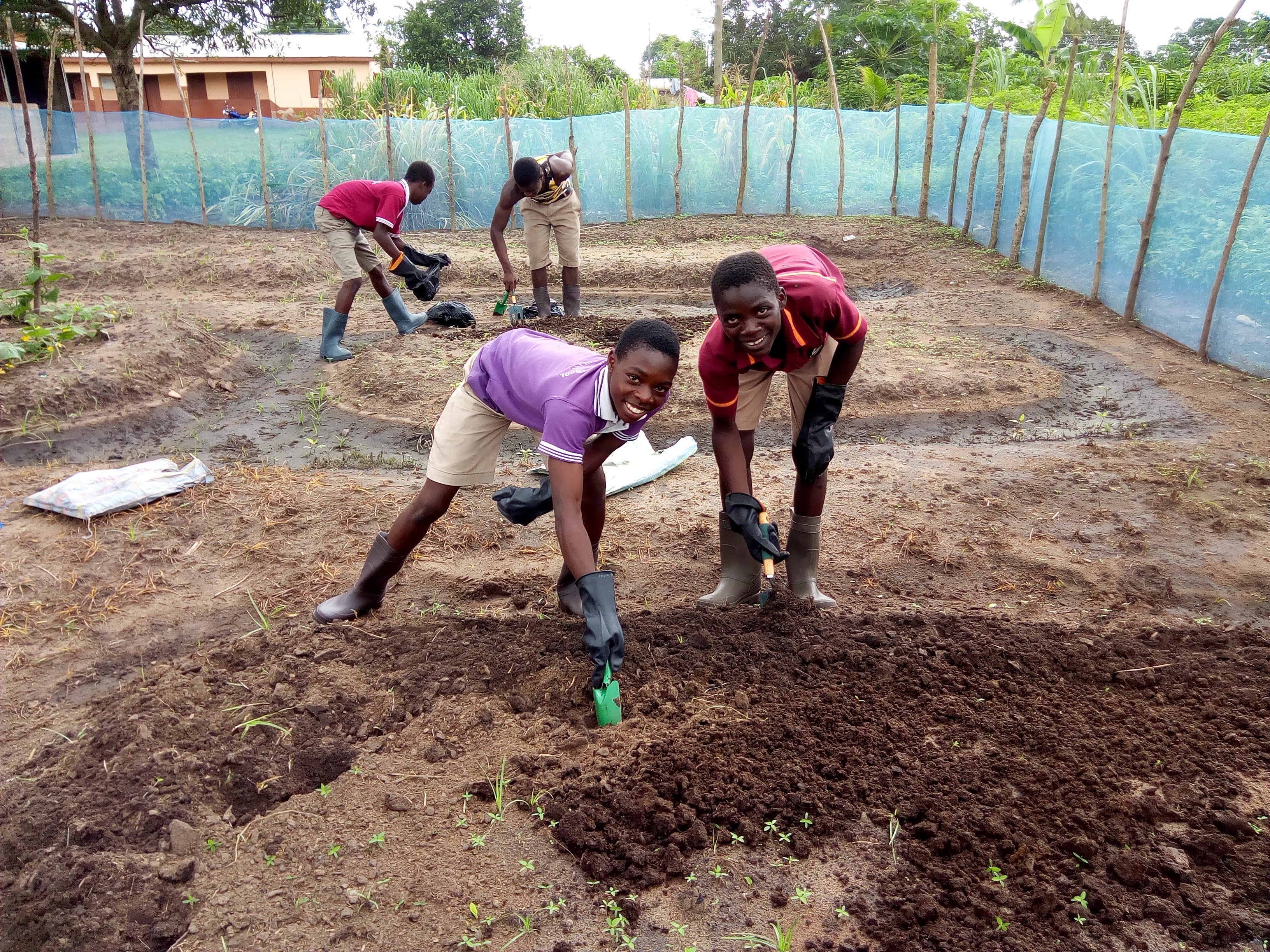 FOOD SECURITY