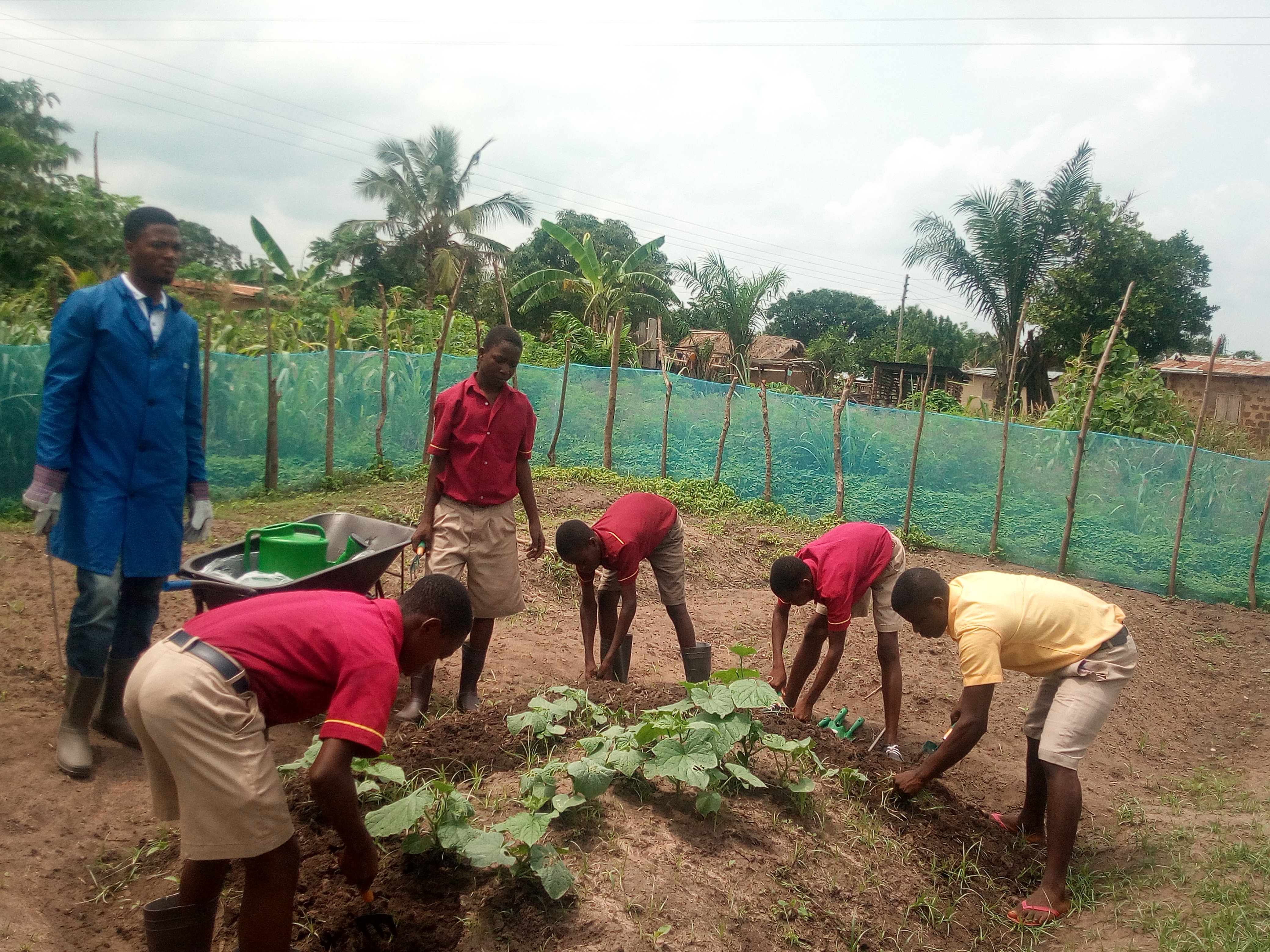 FOOD SECURITY