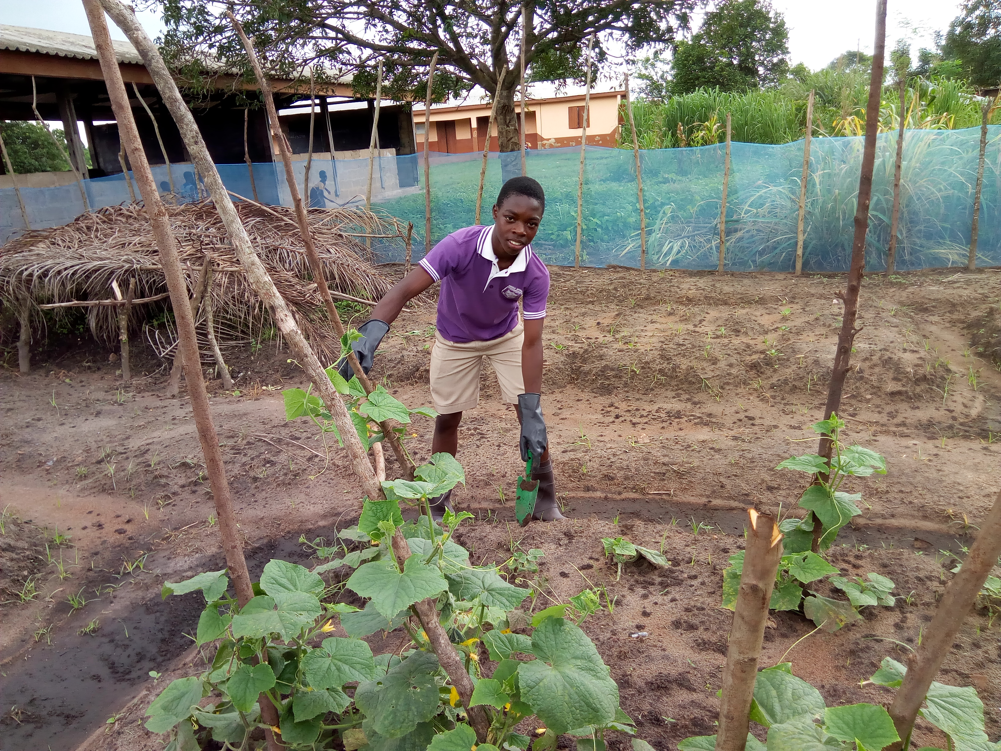 FOOD SECURITY