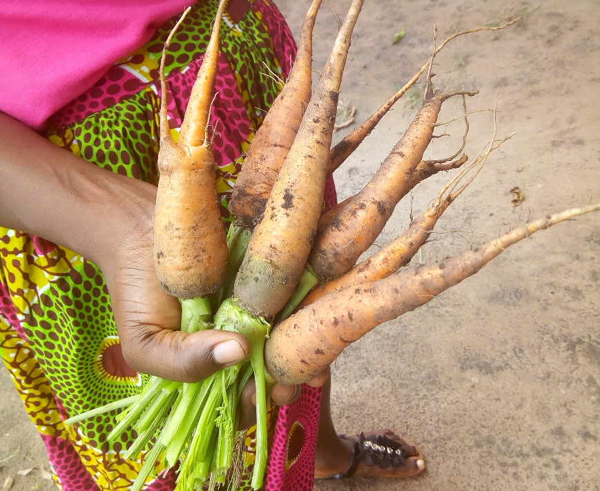 FOOD SECURITY